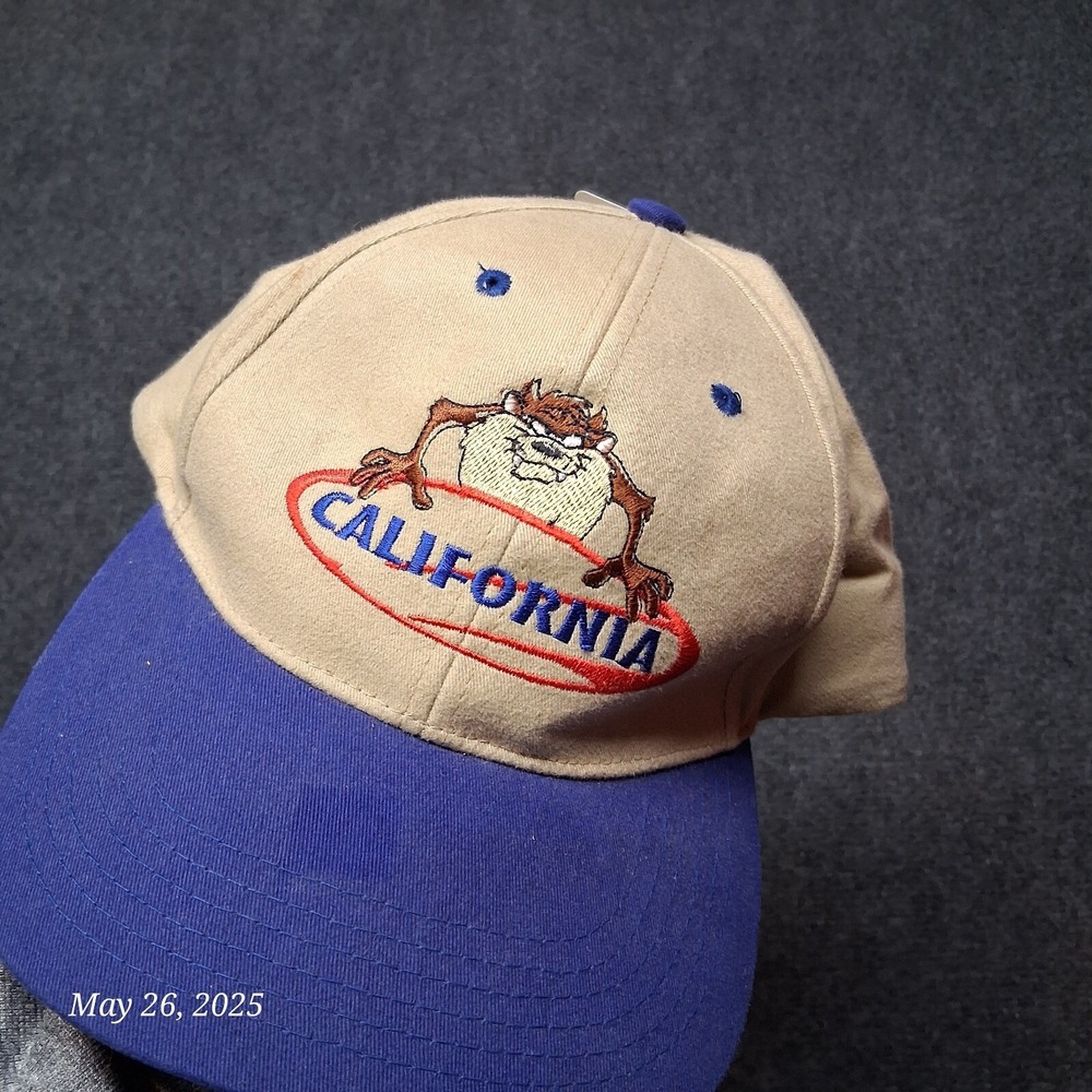 Vintage Warner Bros Taz California Baseball Cap Hat Looney Tunes Snapback NWT
